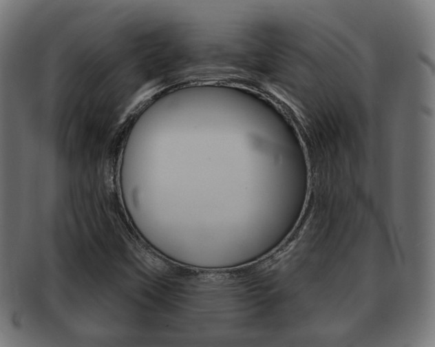 X0000091991451200709061211