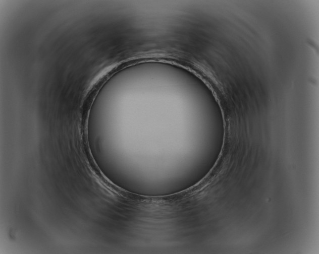 X0000091991452200709061211