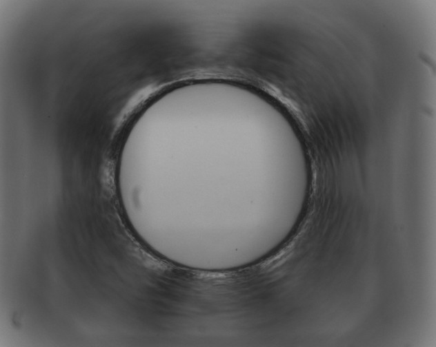 X0000091991454200709061211