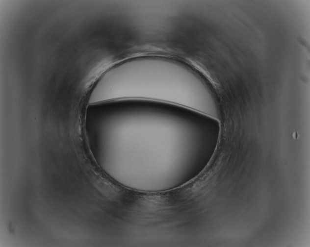 X0000091991455200709061211