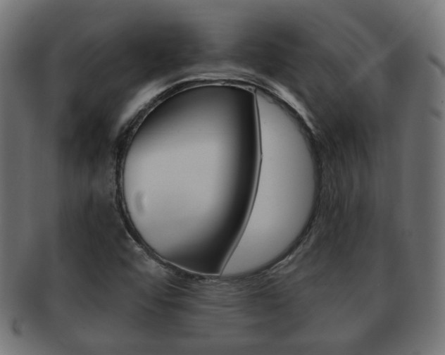 X0000091991456200709061211