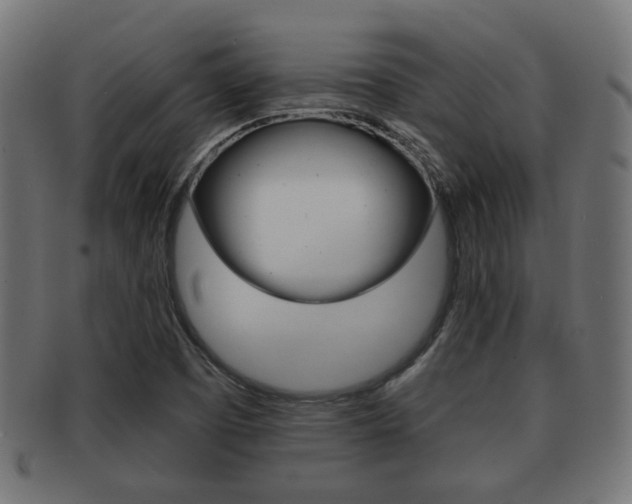X0000091991457200709061211