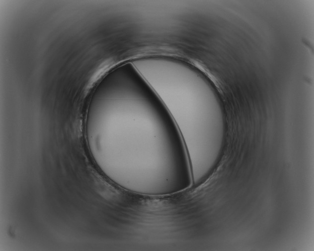 X0000091991459200709061211