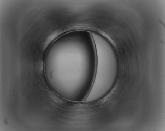 X0000091991461200709061211