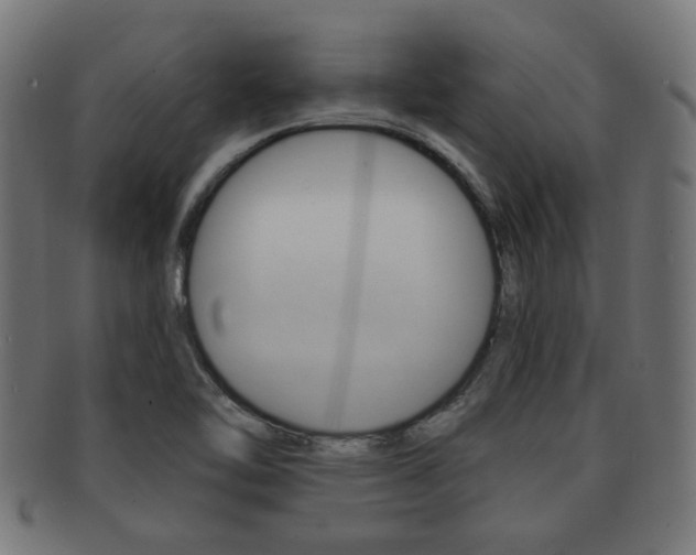X0000091991462200709061211