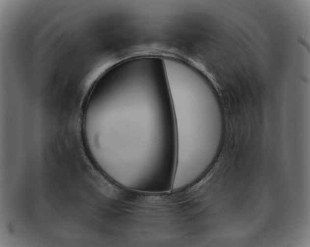 X0000091991463200709061211