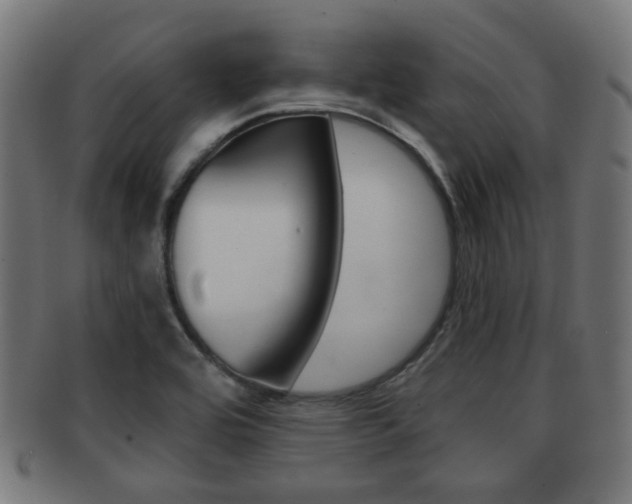 X0000091991464200709061211