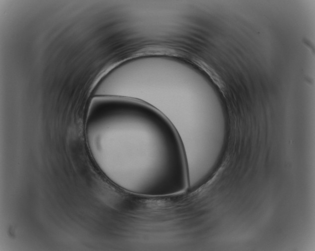 X0000091991465200709061211