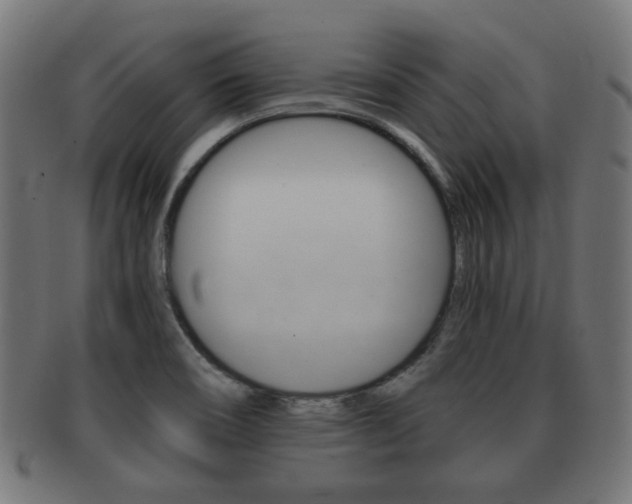X0000091991466200709061211