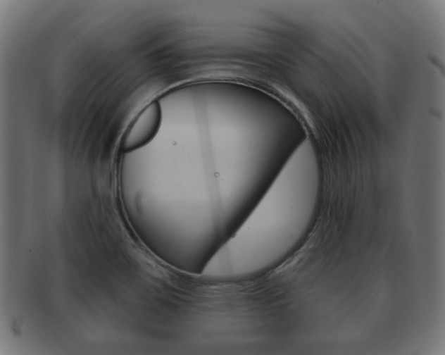 X0000091991467200709061211
