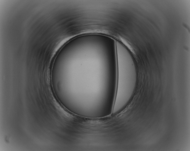 X0000091991468200709061211