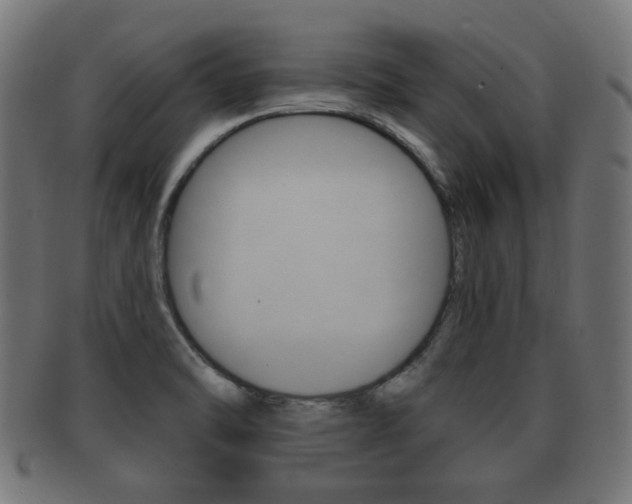 X0000091991470200709061211