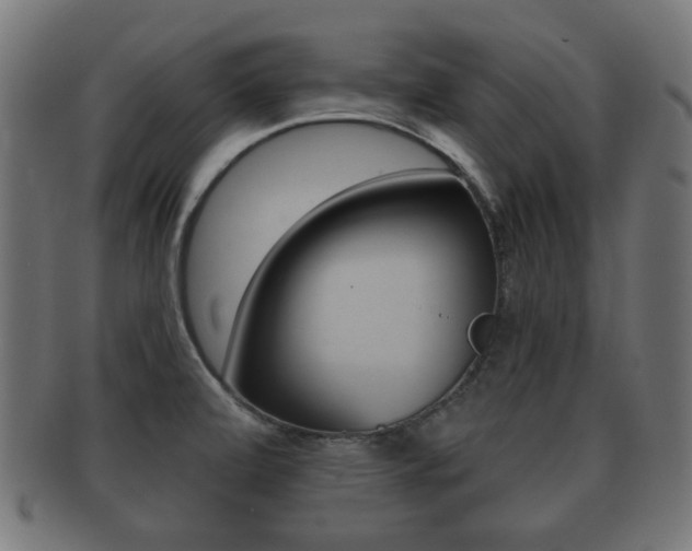 X0000091991472200709061211
