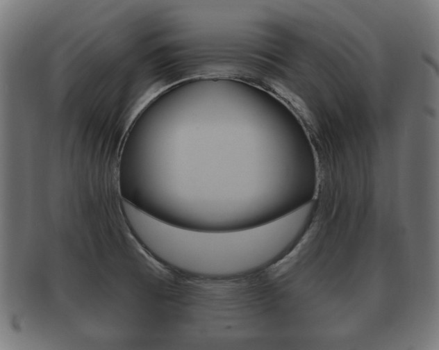 X0000091991473200709061211