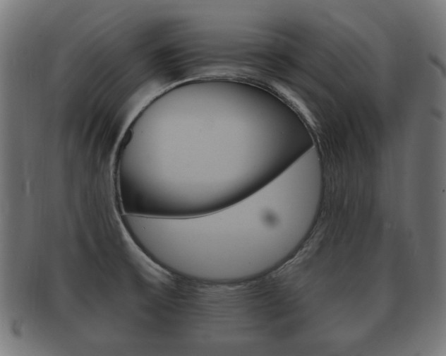 X0000091991475200709061211
