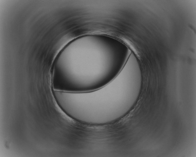 X0000091991476200709061211
