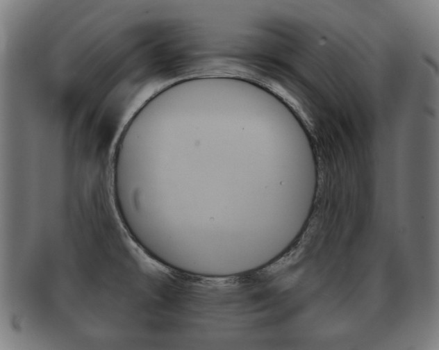 X0000091991478200709061211