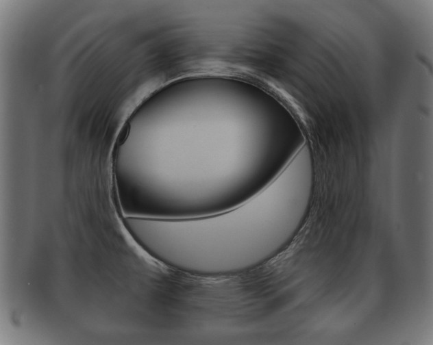 X0000091991479200709061211