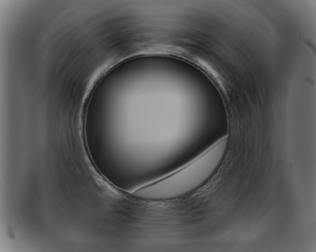 X0000091991480200709061211