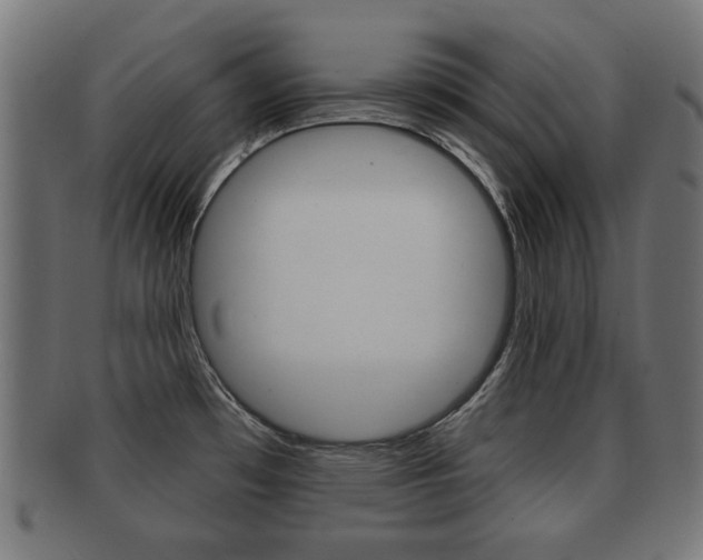 X0000091991481200709061211