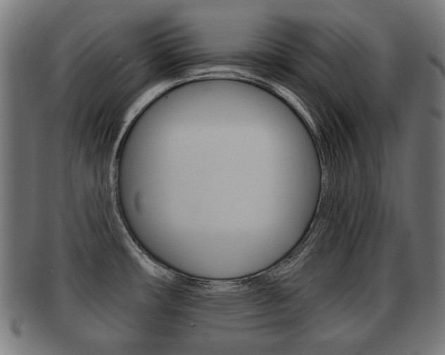 X0000091991482200709061211