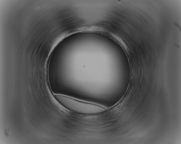X0000091991483200709061211