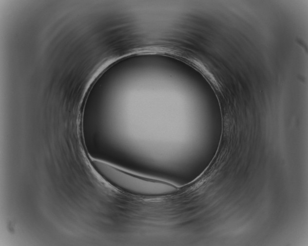 X0000091991484200709061211