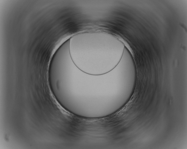 X0000091991485200709061211