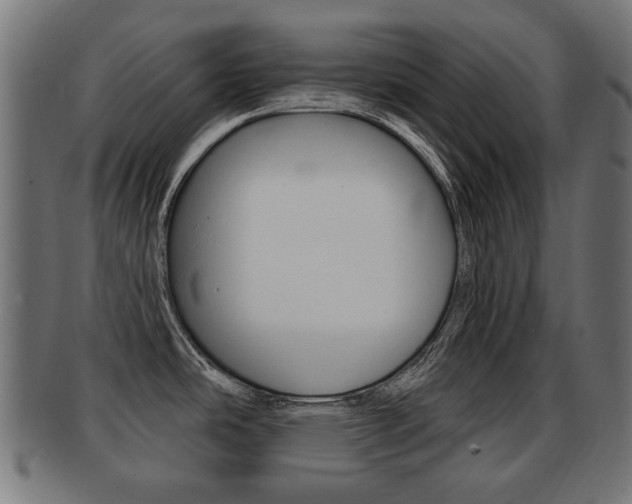 X0000091991486200709061211