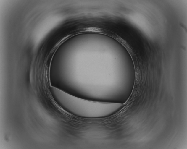 X0000091991487200709061211