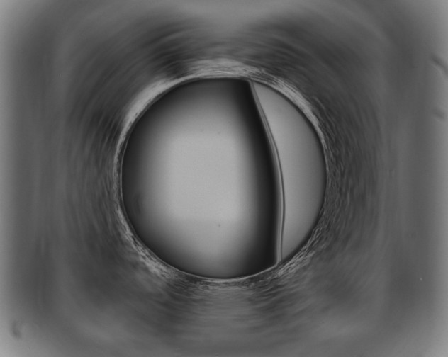 X0000091991488200709061211