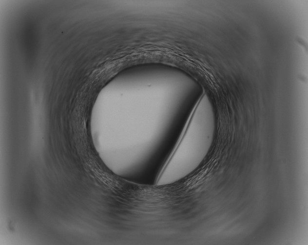 X0000091991489200709061210