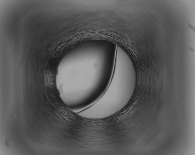 X0000091991490200709061210