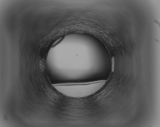 X0000091991491200709061210