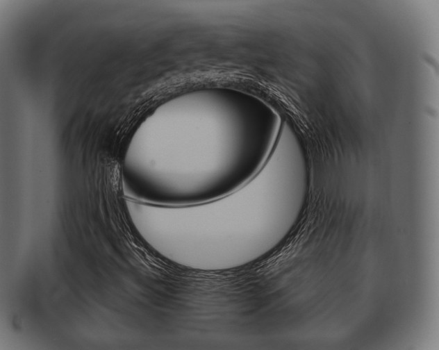 X0000091991492200709061210