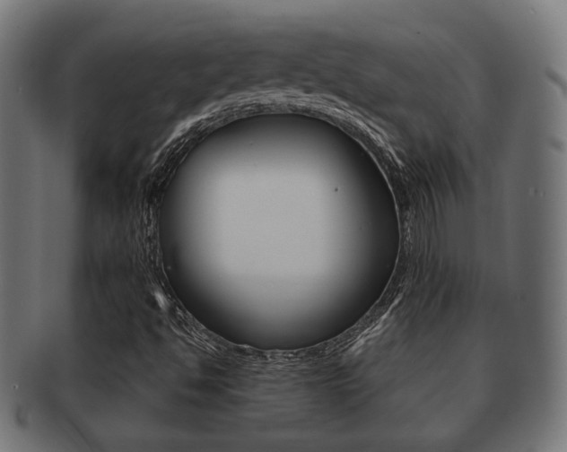 X0000091991494200709061210