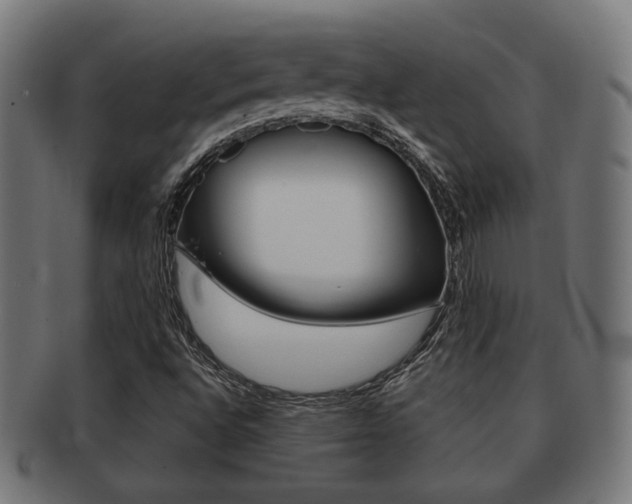 X0000091991496200709061210