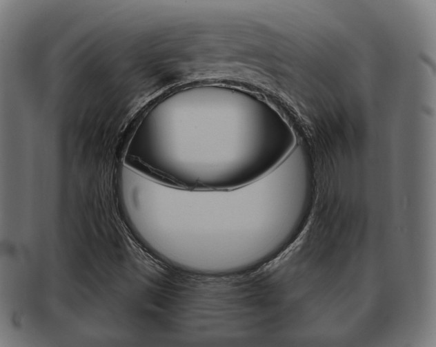 X0000091991497200709061210