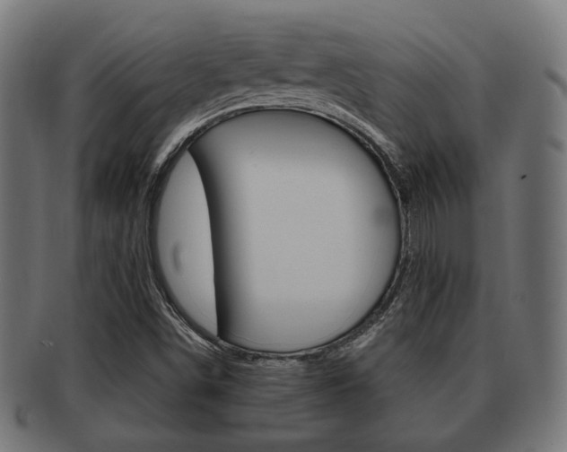 X0000091991498200709061210