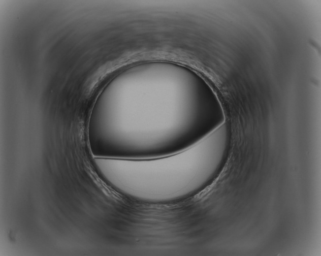 X0000091991499200709061210