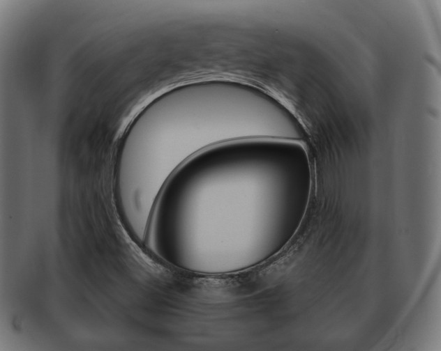 X0000091991500200709061210