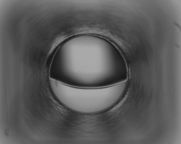 X0000091991501200709061210