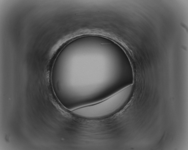 X0000091991503200709061210