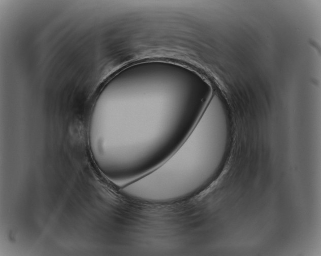 X0000091991505200709061210