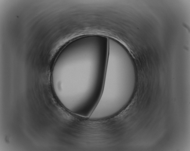 X0000091991507200709061210
