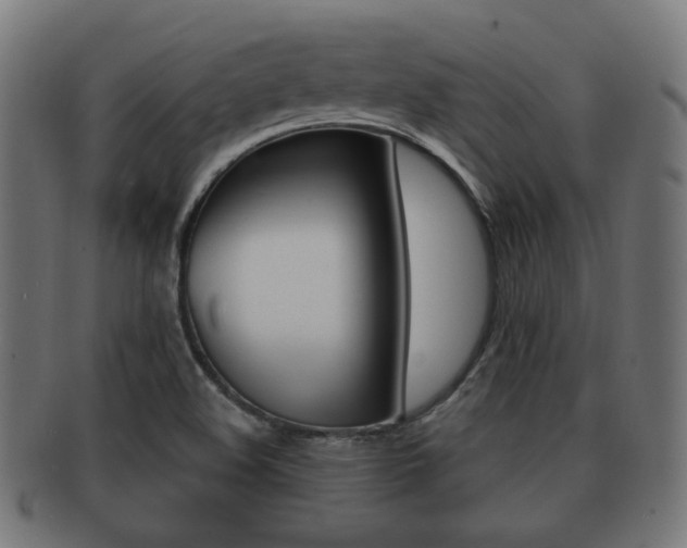 X0000091991508200709061210