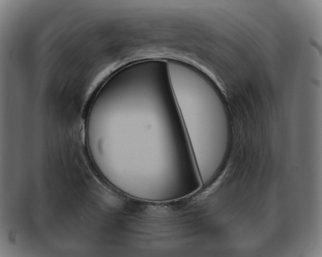 X0000091991509200709061210