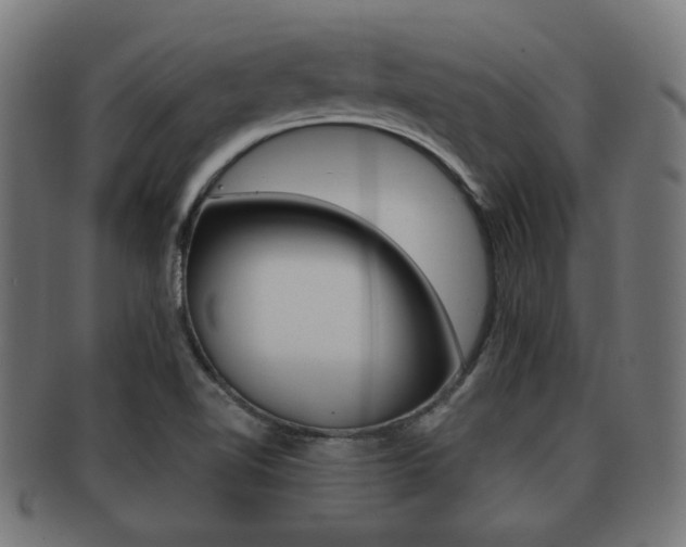X0000091991510200709061210