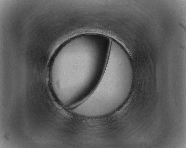 X0000091991511200709061210