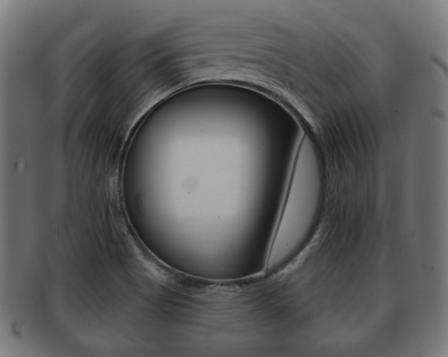 X0000091991513200709061210